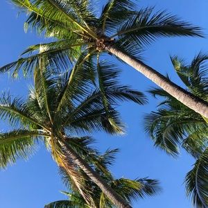 Meet your Posher, Simona